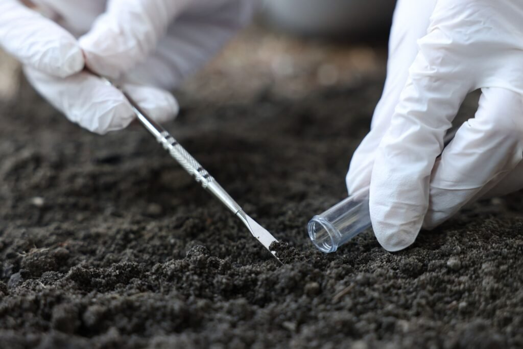 Acreditación No FF-2046-16926